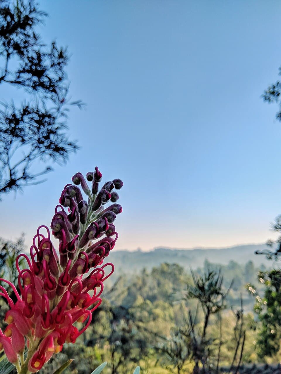 Bandarawela, Sri Lanka