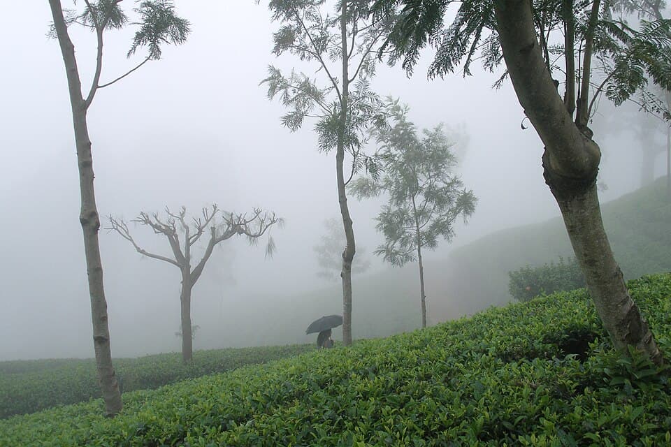 Haputale, Sri Lanka