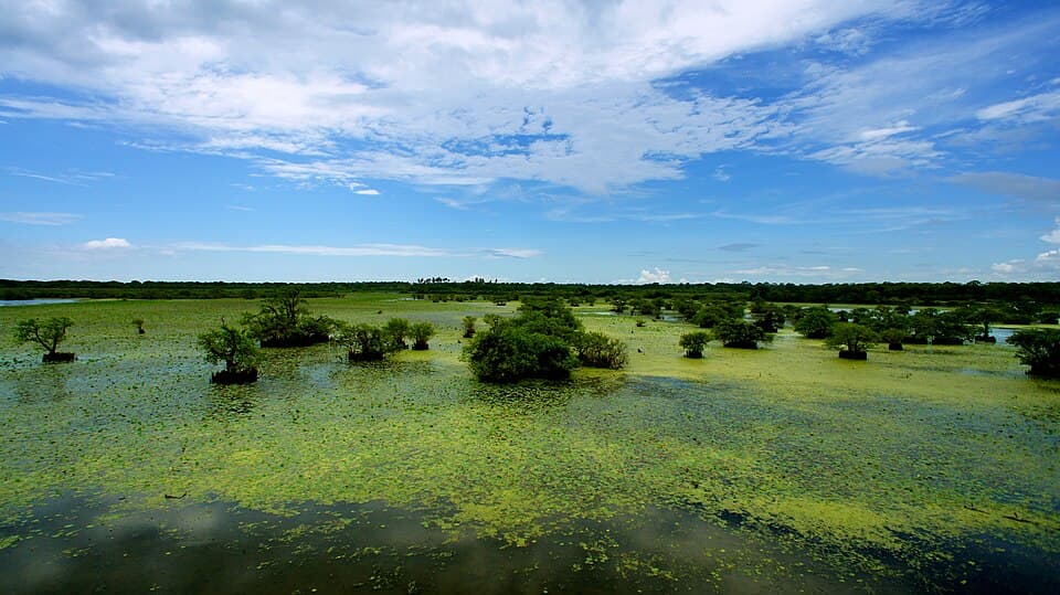 Kumana, Sri Lanka