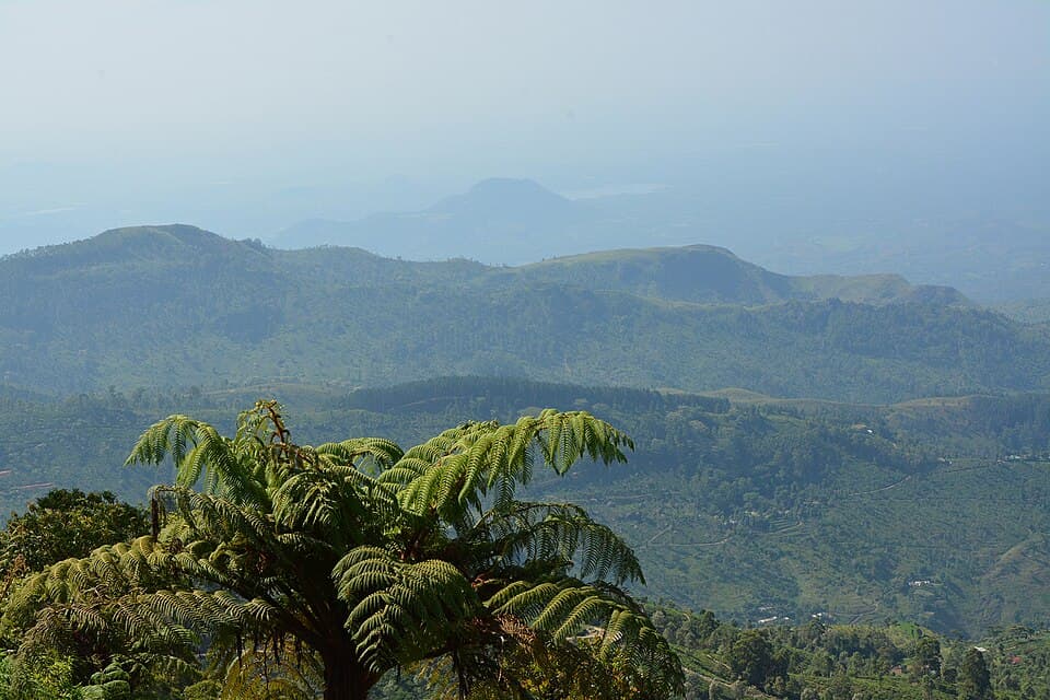 Lipton’s Seat, Sri Lanka