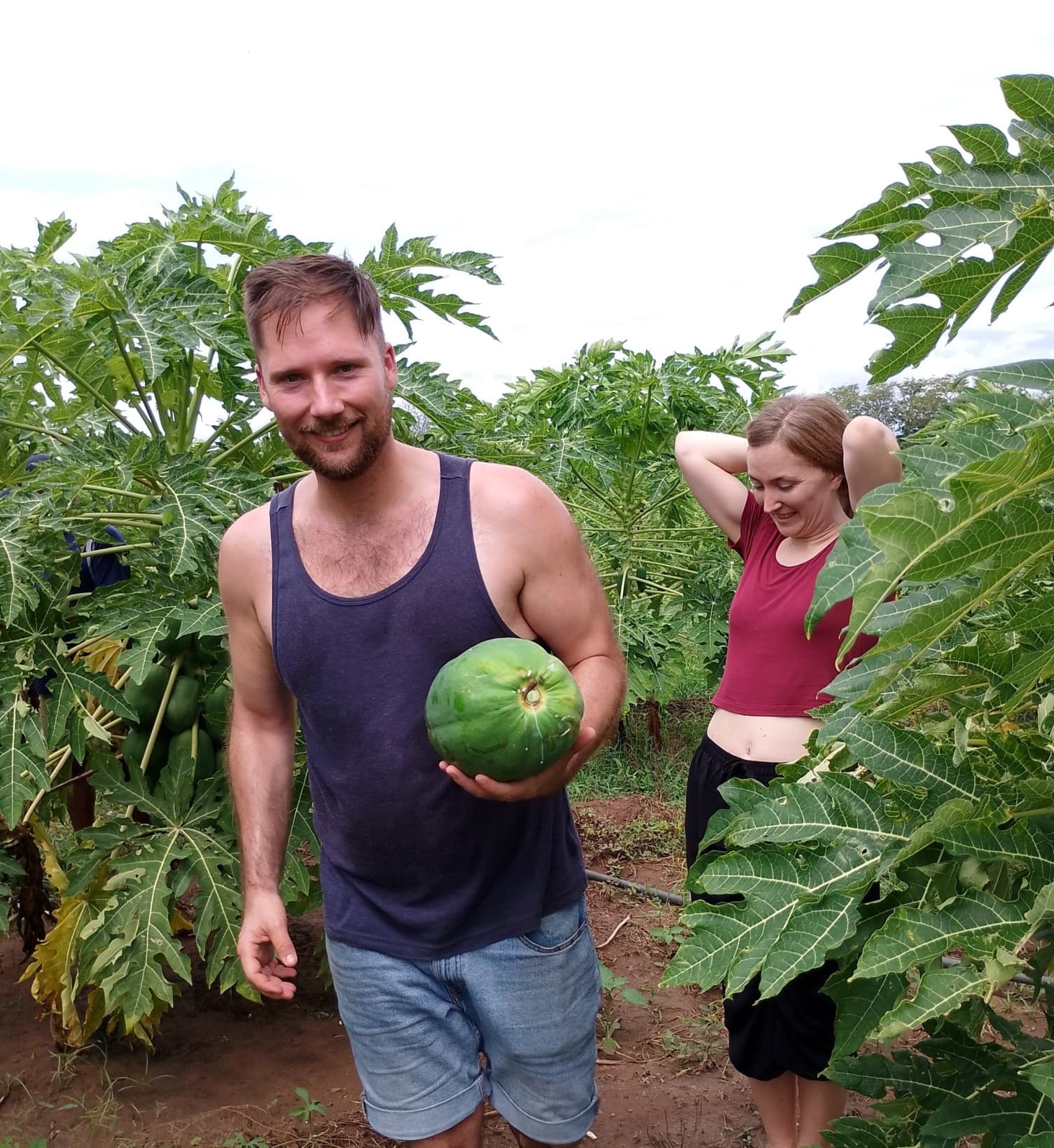 Agriculture Experience