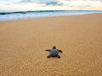 The journey of life starts with uncertainty